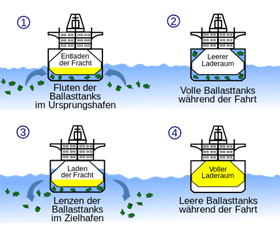 Schema Ballastwasser Ballastwasser